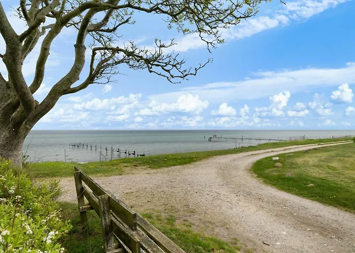 Andine - 250m From The Sea By Interhome Nyborg